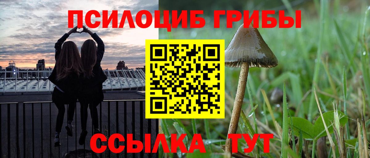 Галлюциногенные грибы MAGIC MUSHROOMS  Вход с VPN  Лесосибирск 